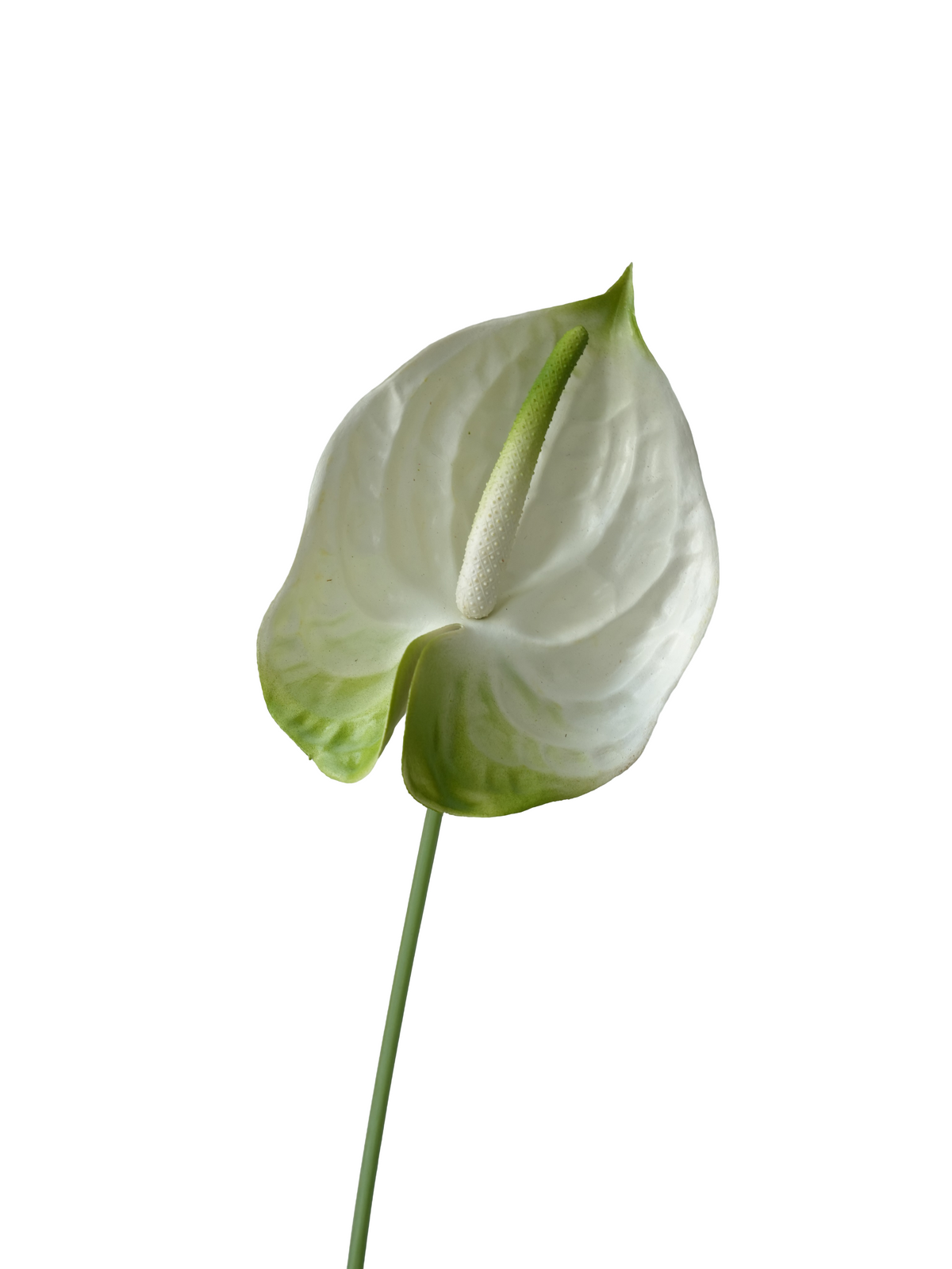 White-Green Rubber-Feel Artificial Anthurium (Flamingo Flower), 27"