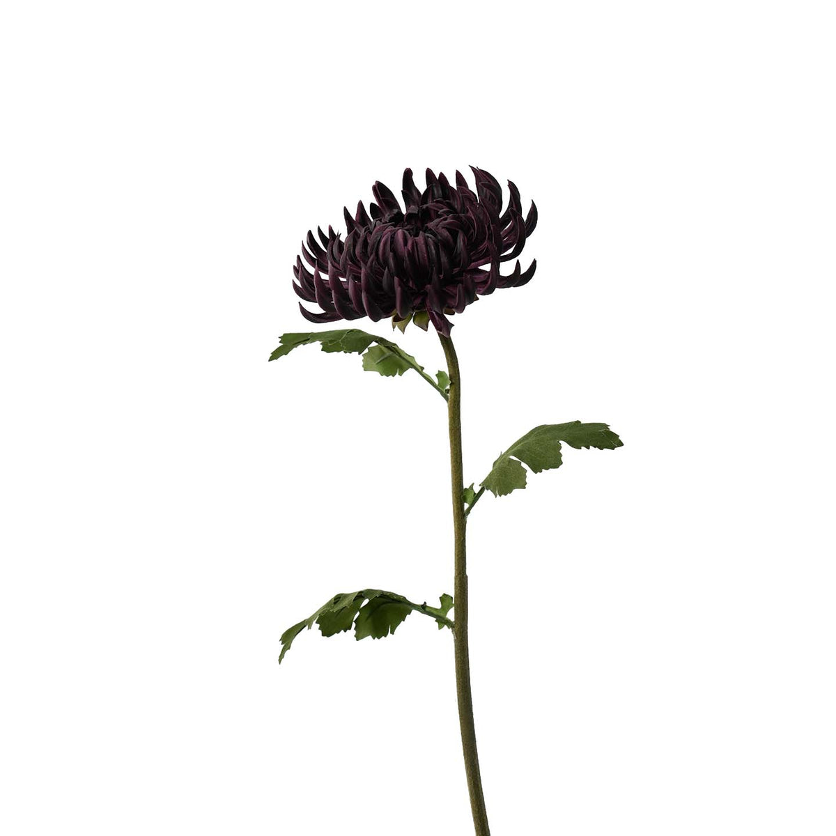 Artificial Marigold, PU Real Touch Chrysanthemum, Misty Chrysanthemum 23.6"