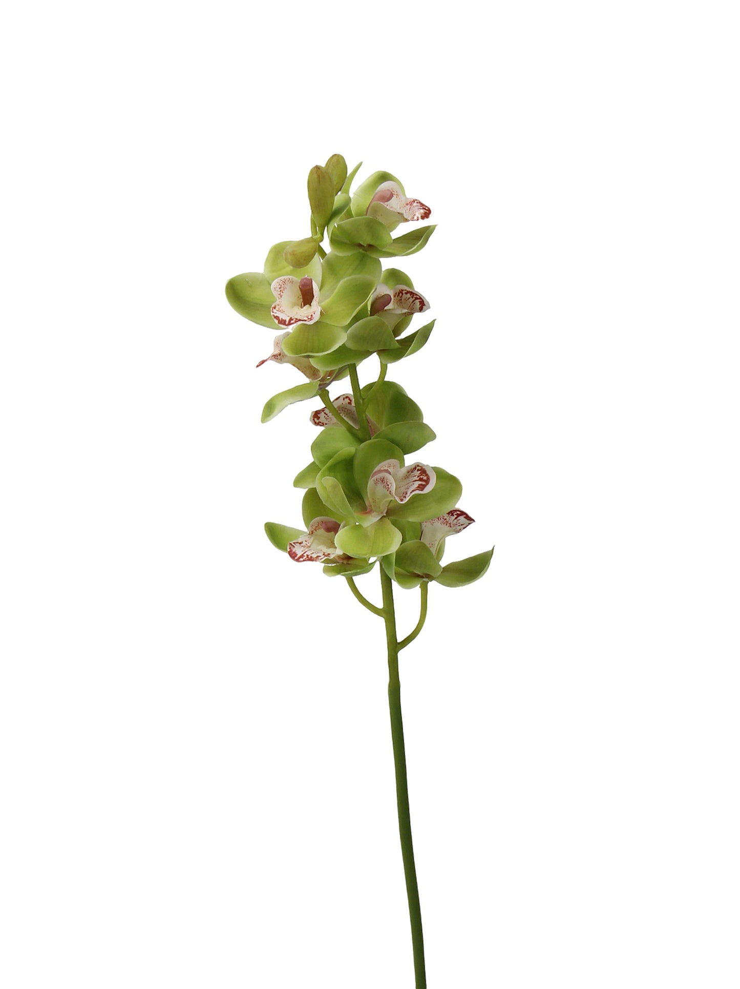 Real-Touch Faux Orchid Stem - 27.56"