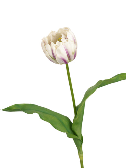 Faux Large Bloom Tulip Stem - 24.8"