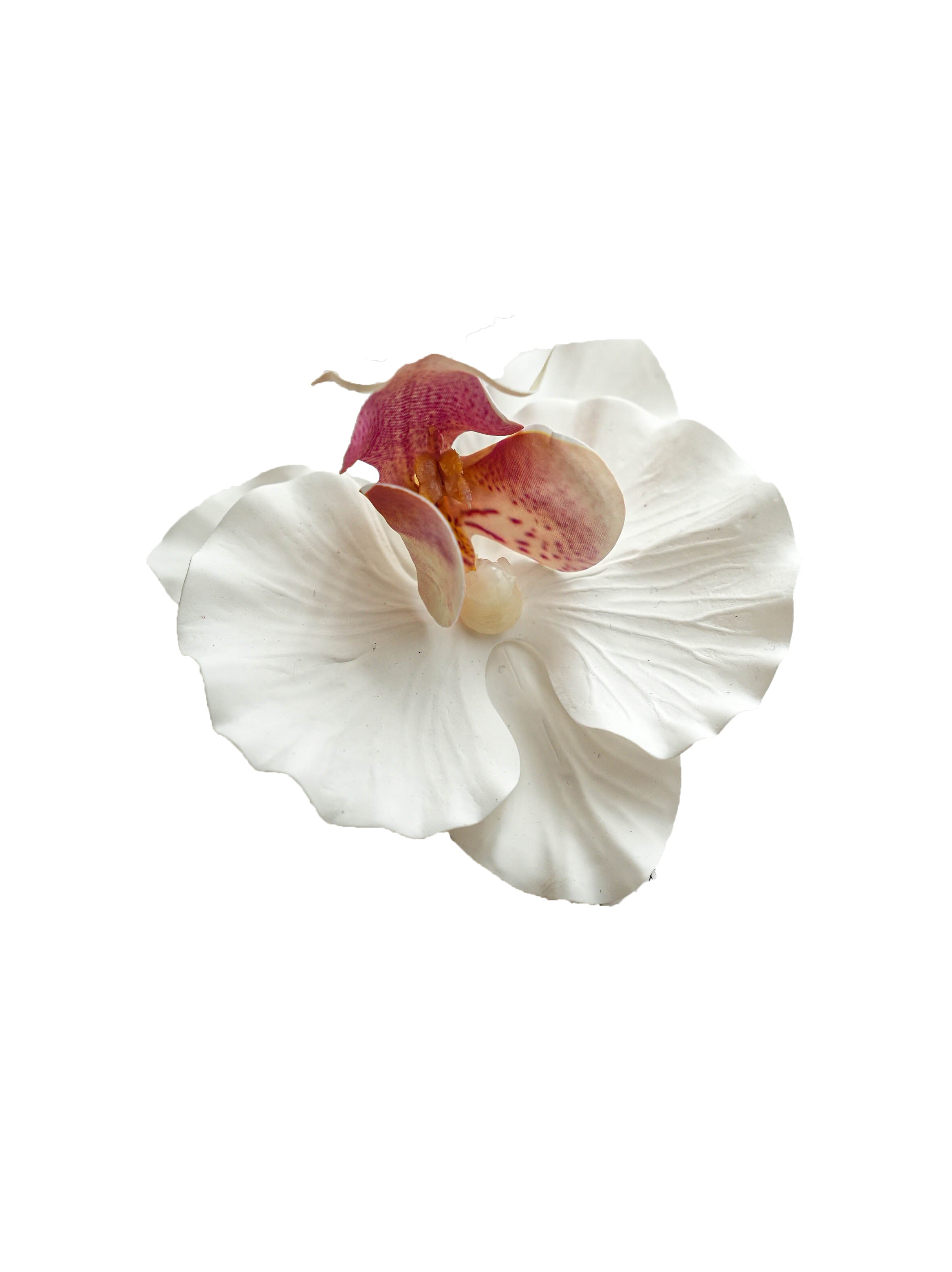 Fake Phalaenopsis petal in creamy color -3.34"