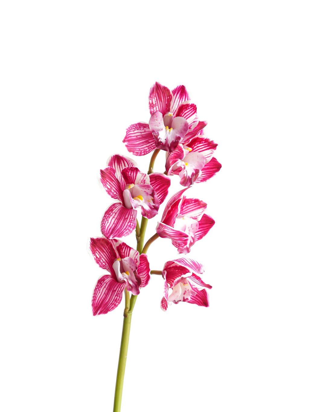 Artificial orchids with a realistic touch -26.7"
