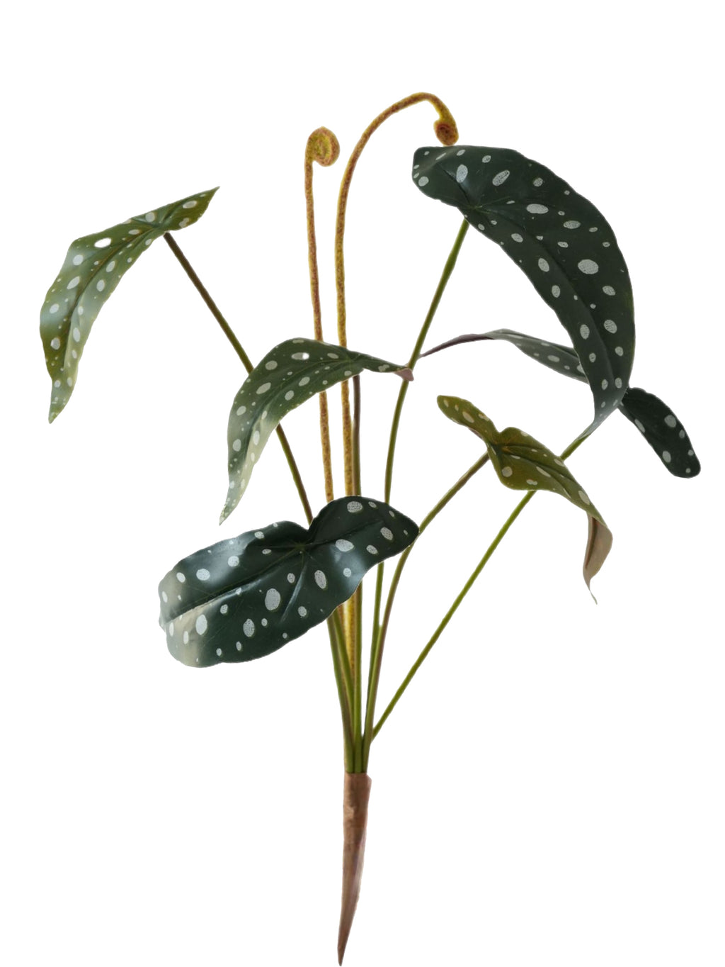 Fake Polka Dot Begonia Artificial Trout Begonia -21.2"