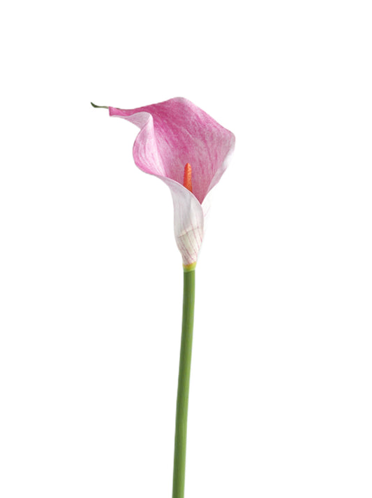 Artificial Calla Lily in Soft Tones-18.8"