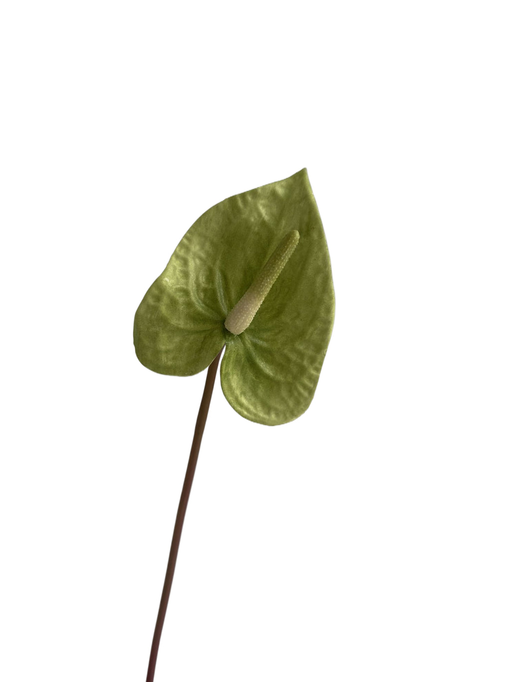 Luxurious Quality Artificial Tropical Anthurium- 23.6"