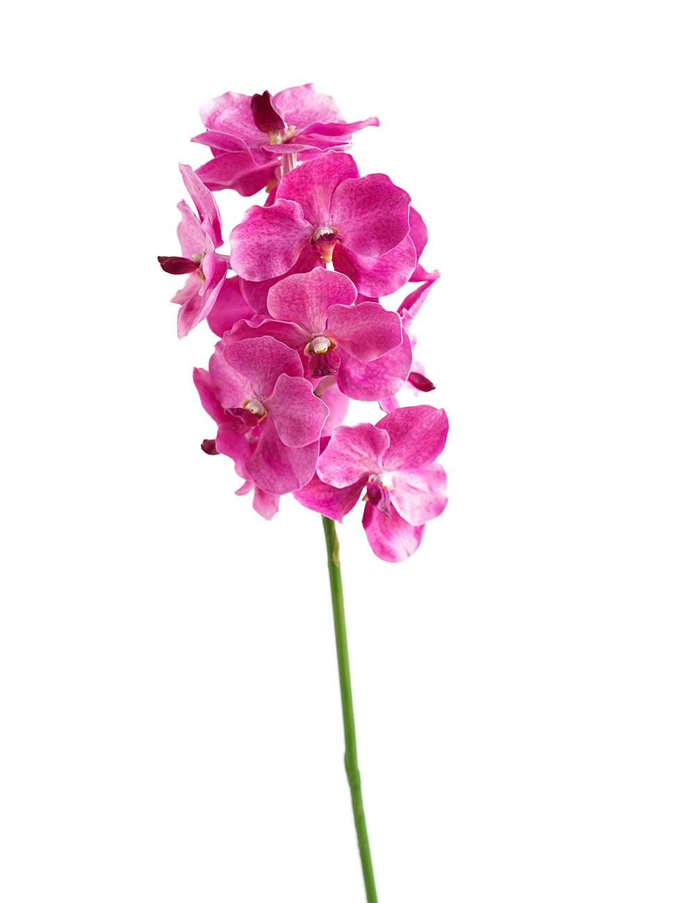 High-end Artificial Vanda Orchids -25.5"