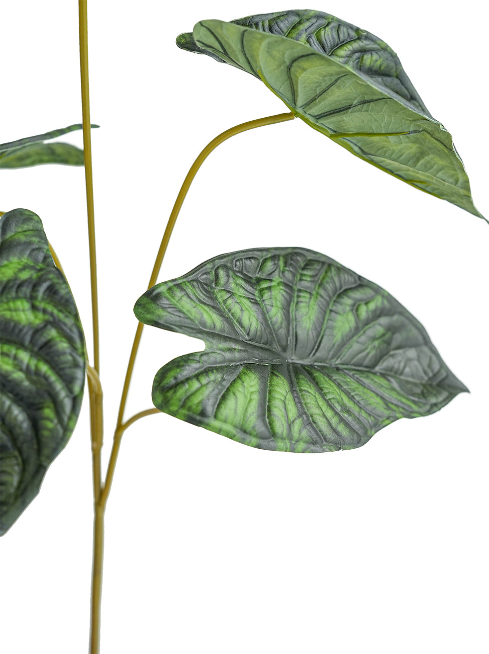 Faux Alocasia Leaves -31.1"