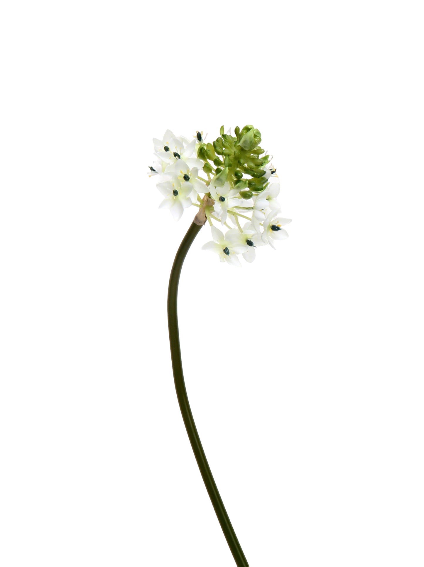Faux Star of Bethlehem Stem - 33.5"