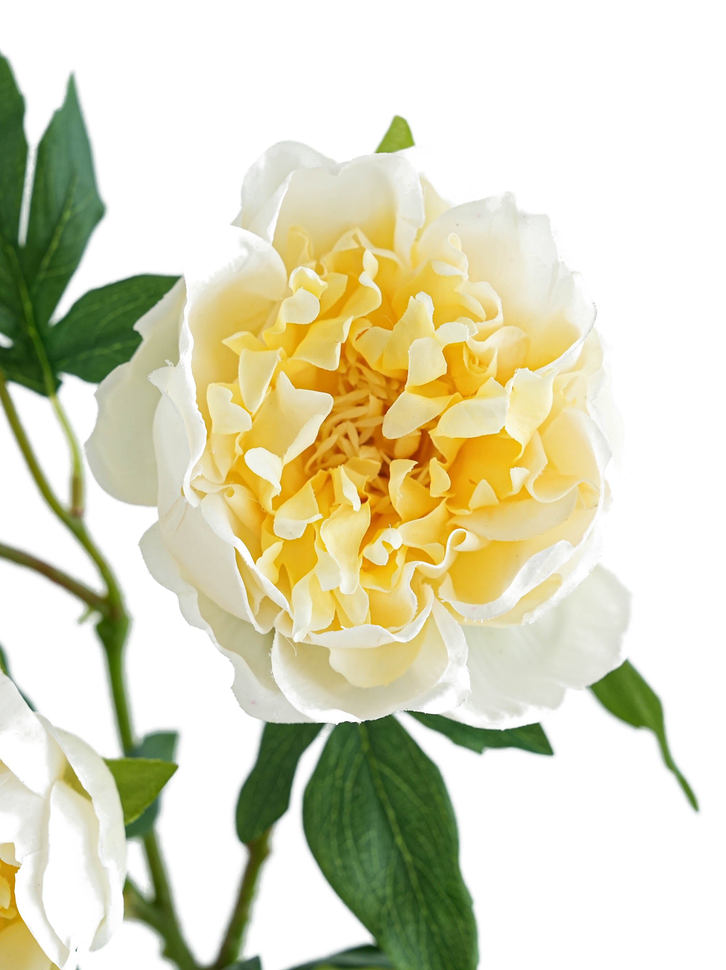 Cream Colors Faux Real Touch Peony Flower -31.8"