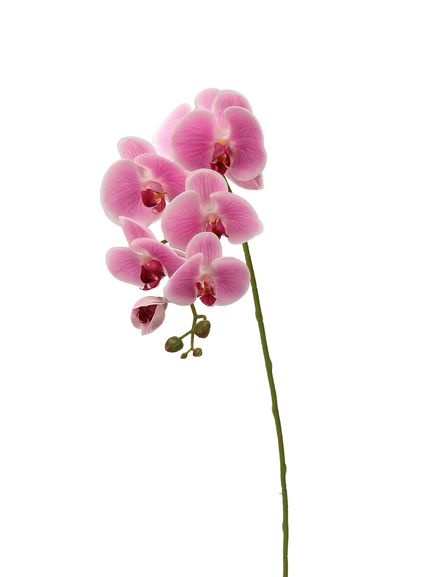Real-Touch Faux Phalaenopsis Orchid Spray - 37.4"