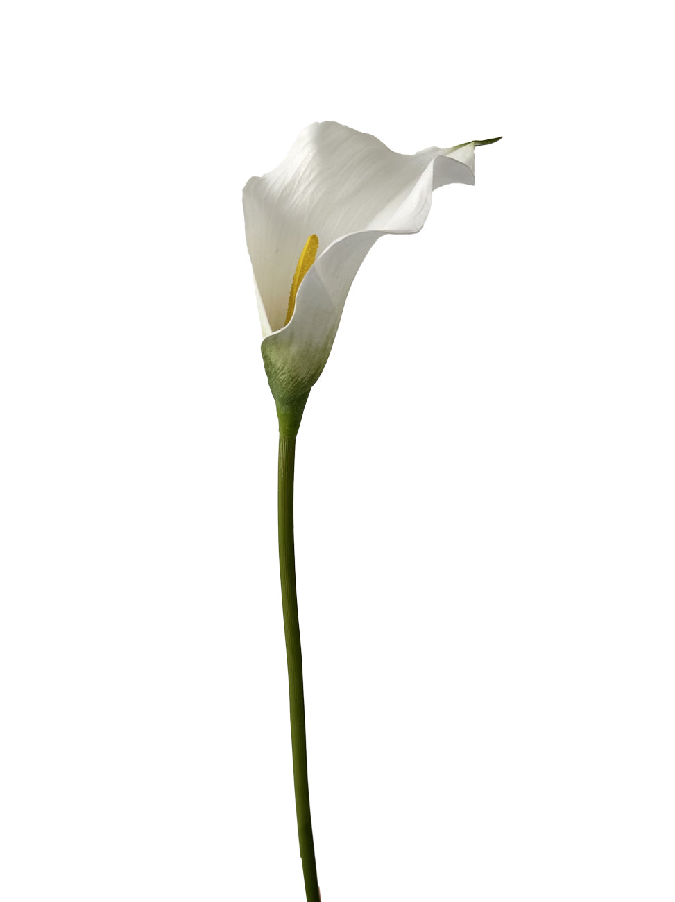 Large Fake Calla Lily with Gentle Hues -26.7"