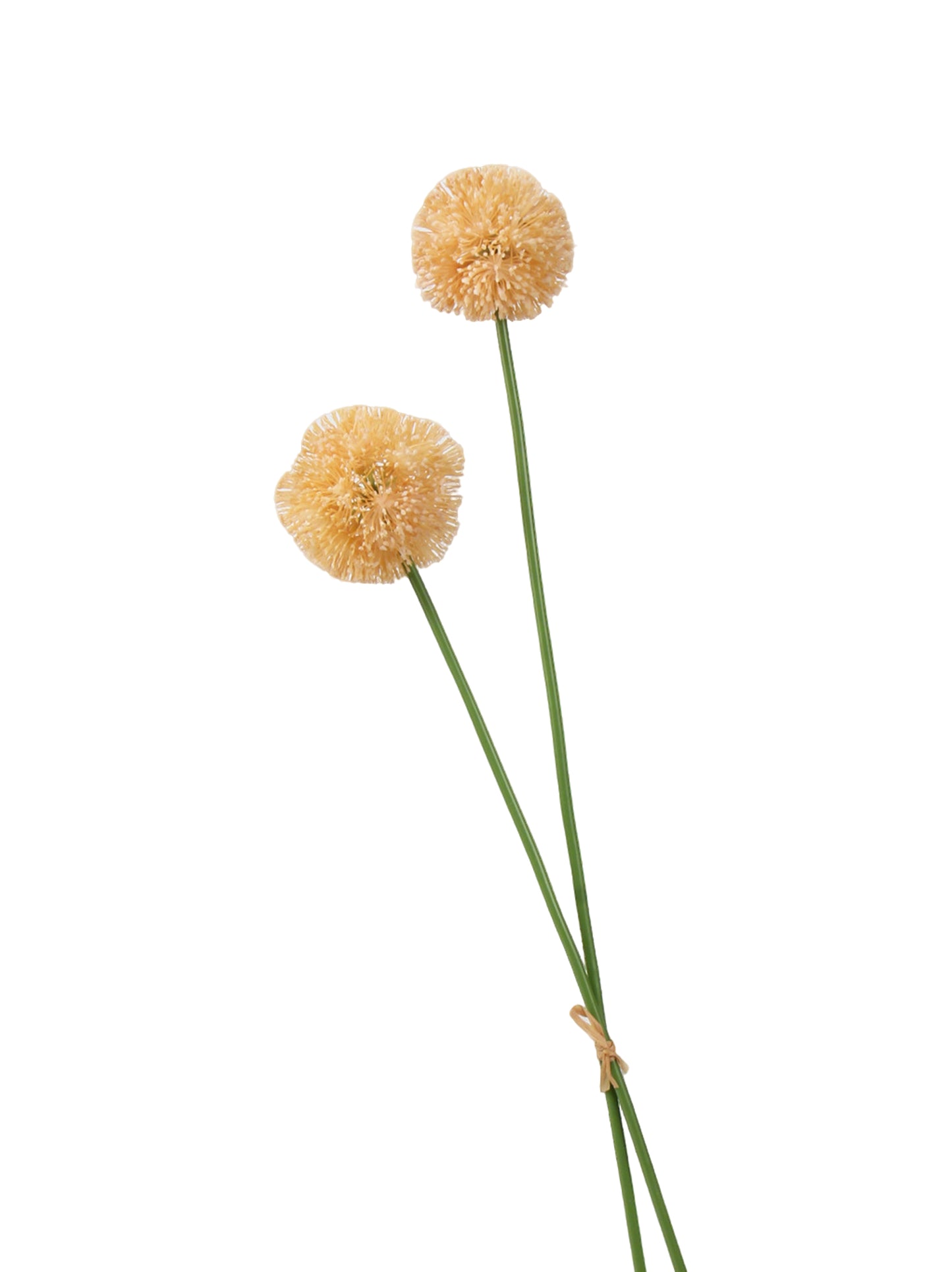 Faux Allium Stem - 22.8"