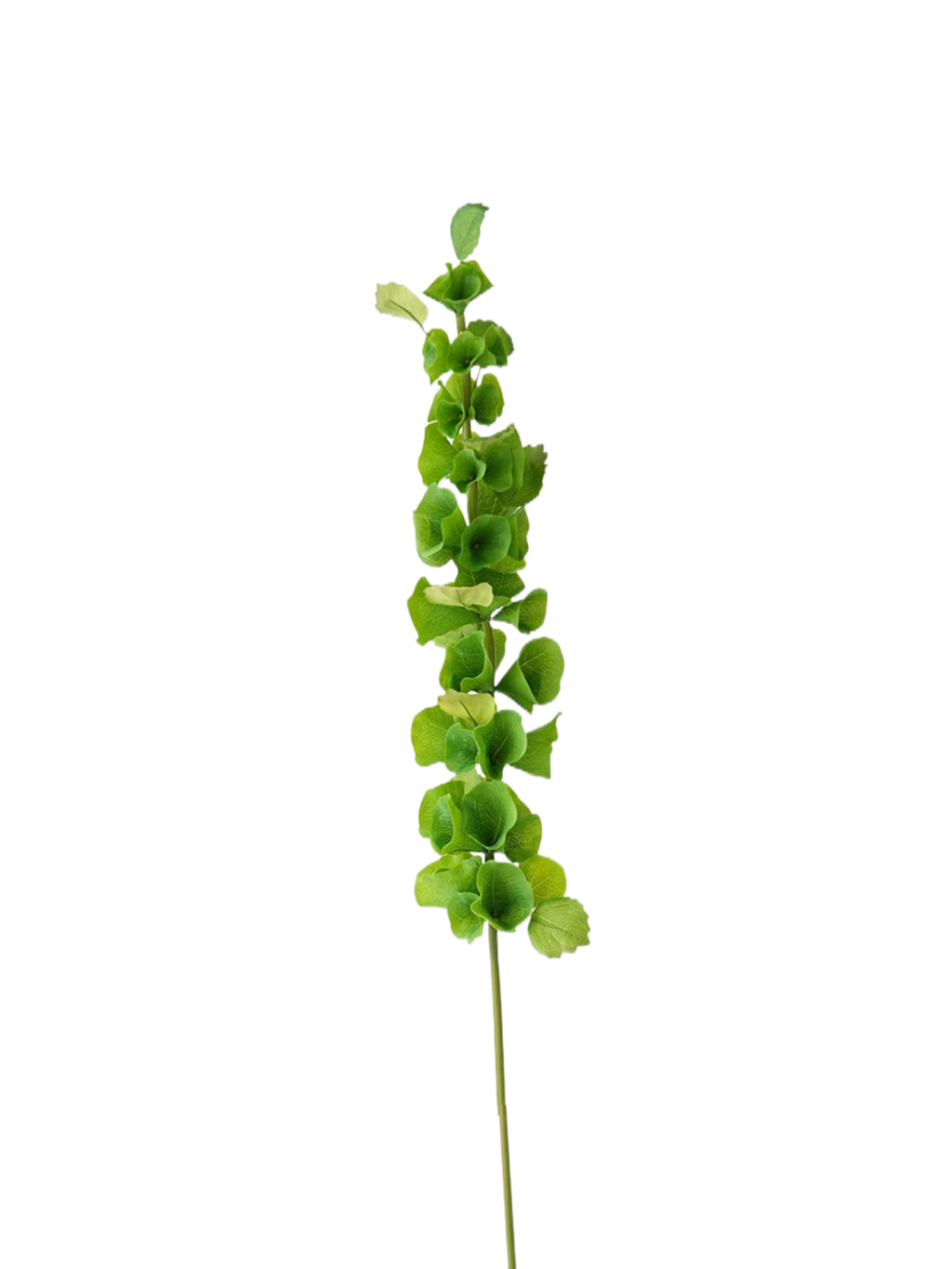 Small-sized artificial green plants with shell-shaped leaves - 28.7"