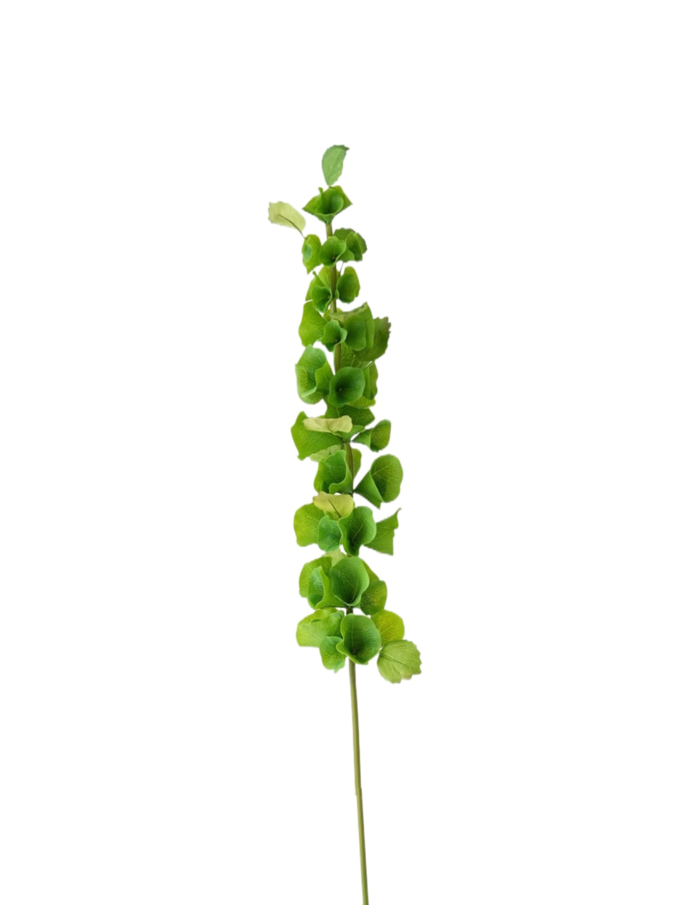 Small-sized artificial green plants with shell-shaped leaves - 28.7"