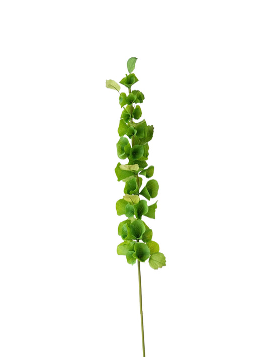 Small-sized artificial green plants with shell-shaped leaves - 28.7"