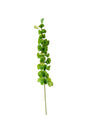 Small-sized artificial green plants with shell-shaped leaves - 28.7"