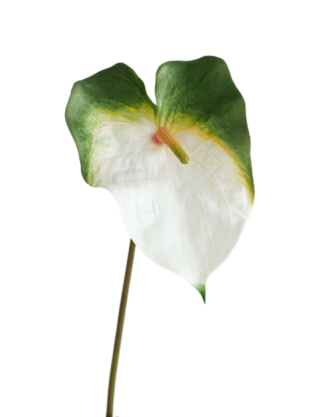 High-end Large-sized Artificial Green Anthurium Flowers- 26.7"