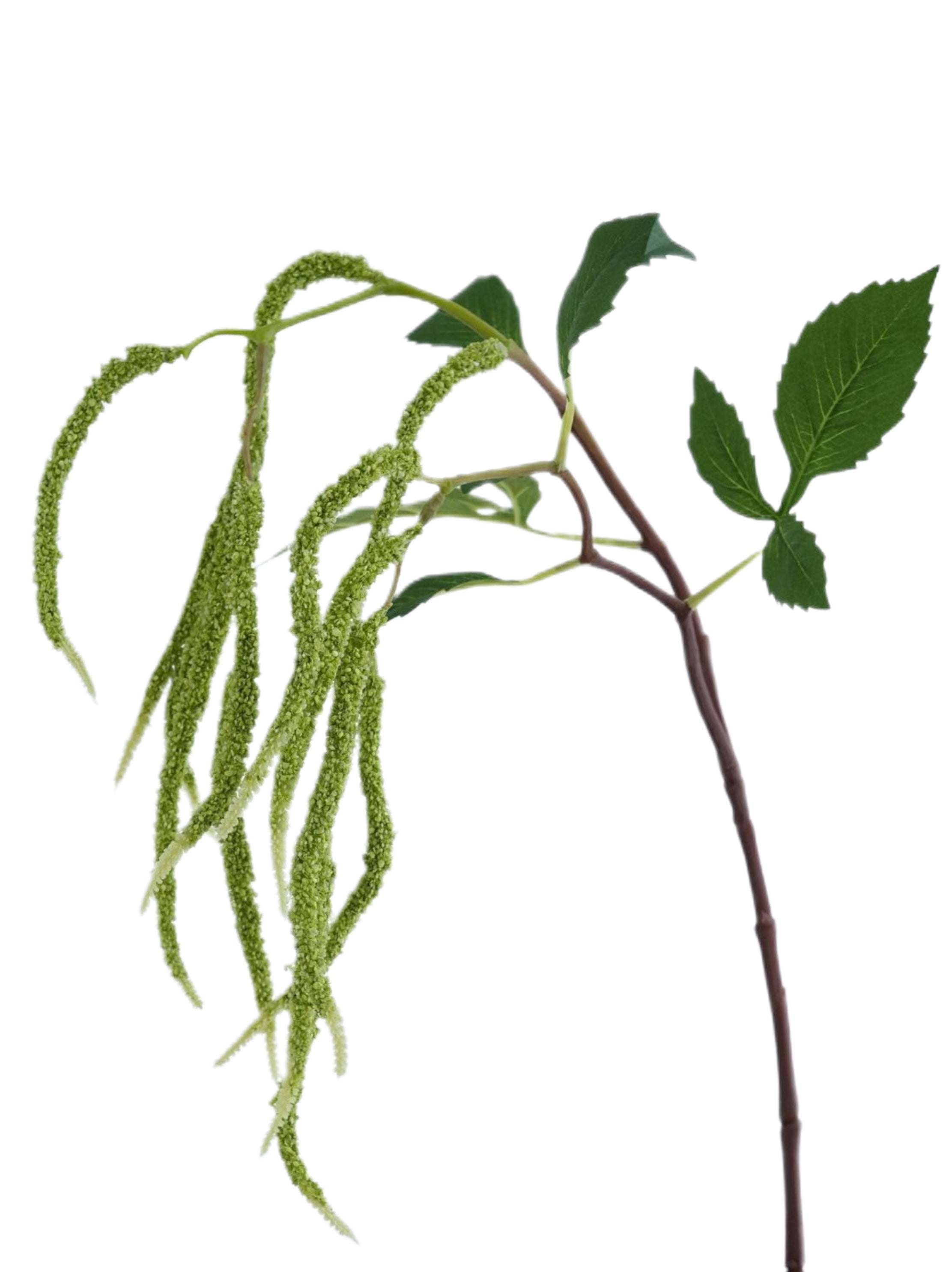 Artificial Amaranthus Stems -37.4"