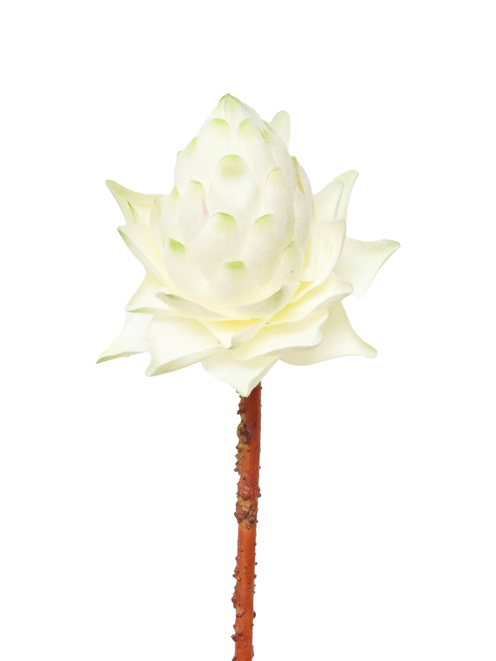 Luxurious artificial Protea cynaroides flowers- 28.4"