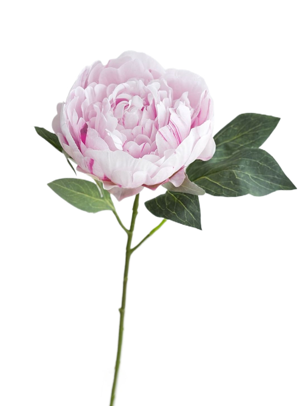 Fake Sarah Peony Artificial Sarah Bernhardt-20.4"