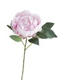 Fake Sarah Peony Artificial Sarah Bernhardt-20.4"