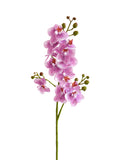 Real Touch Lavender Artificial Phalaenopsis Orchid  -27.5"