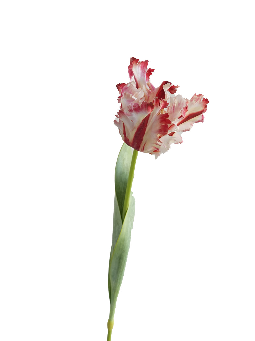 Highly customized artificial Parrot Tulip flowers-27.1"