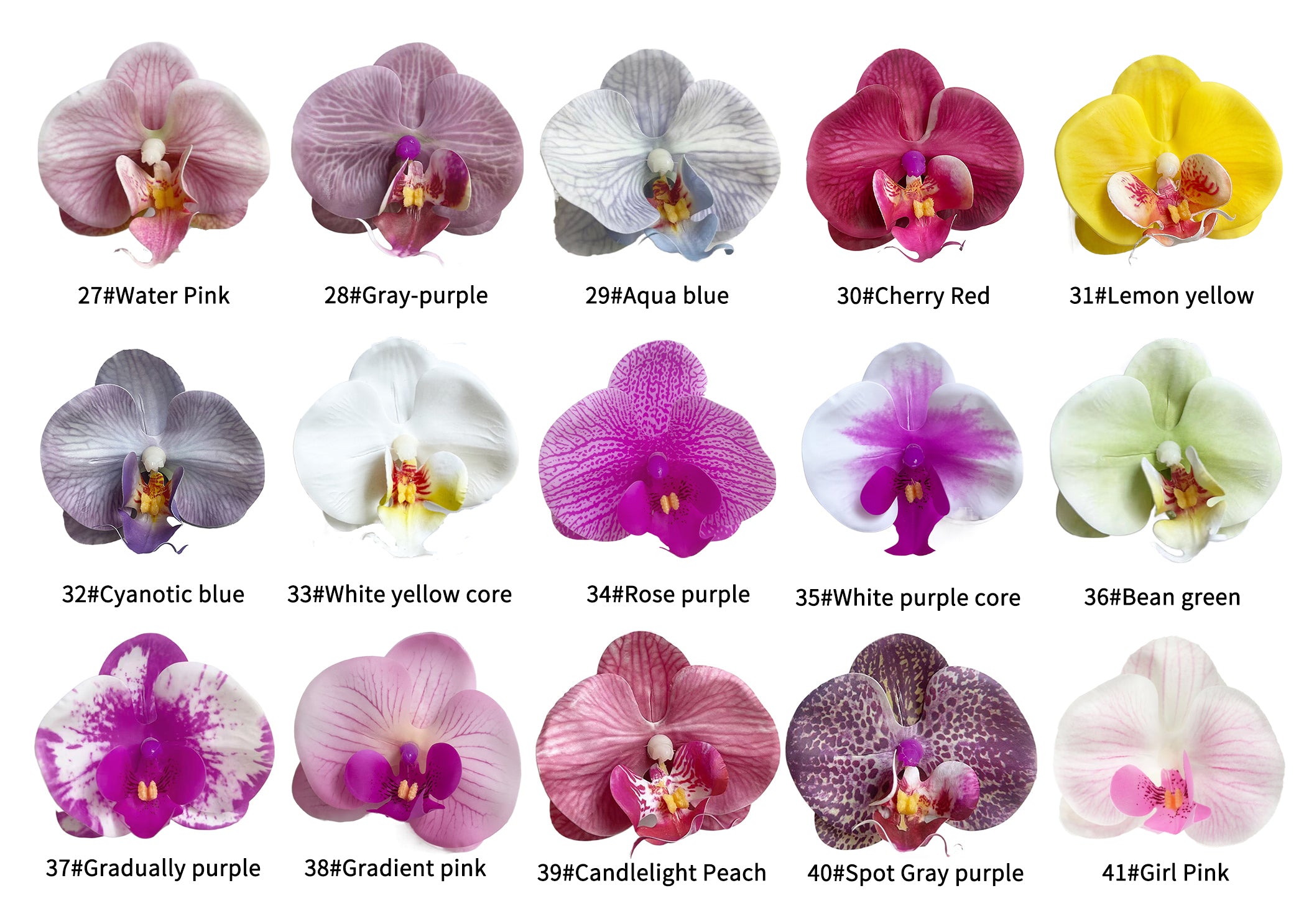 Petals of the simulated Phalaenopsis orchid -3.3"