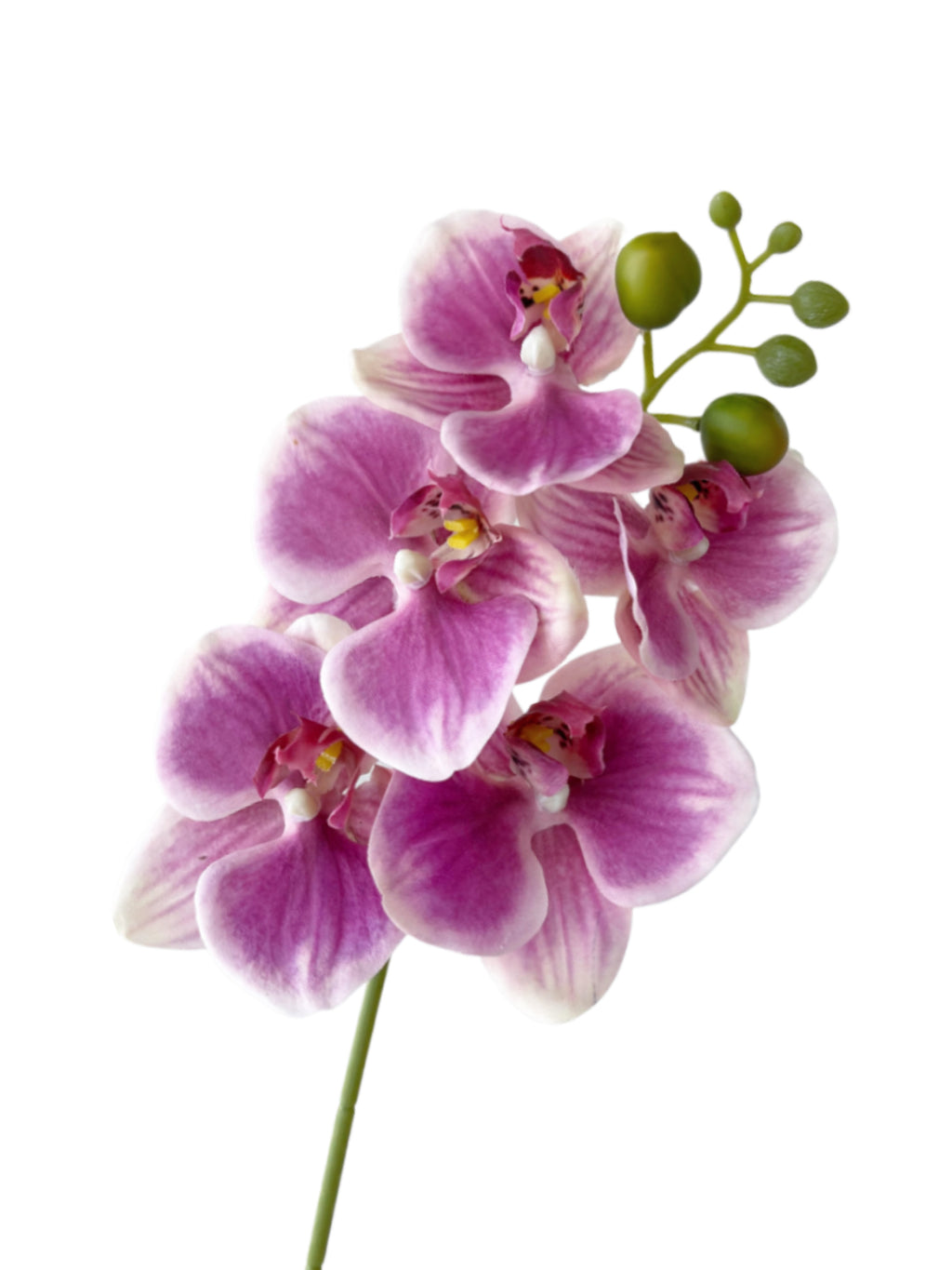 Artificial Phalaenopsis Orchids with a Realistic Touch -18.1"