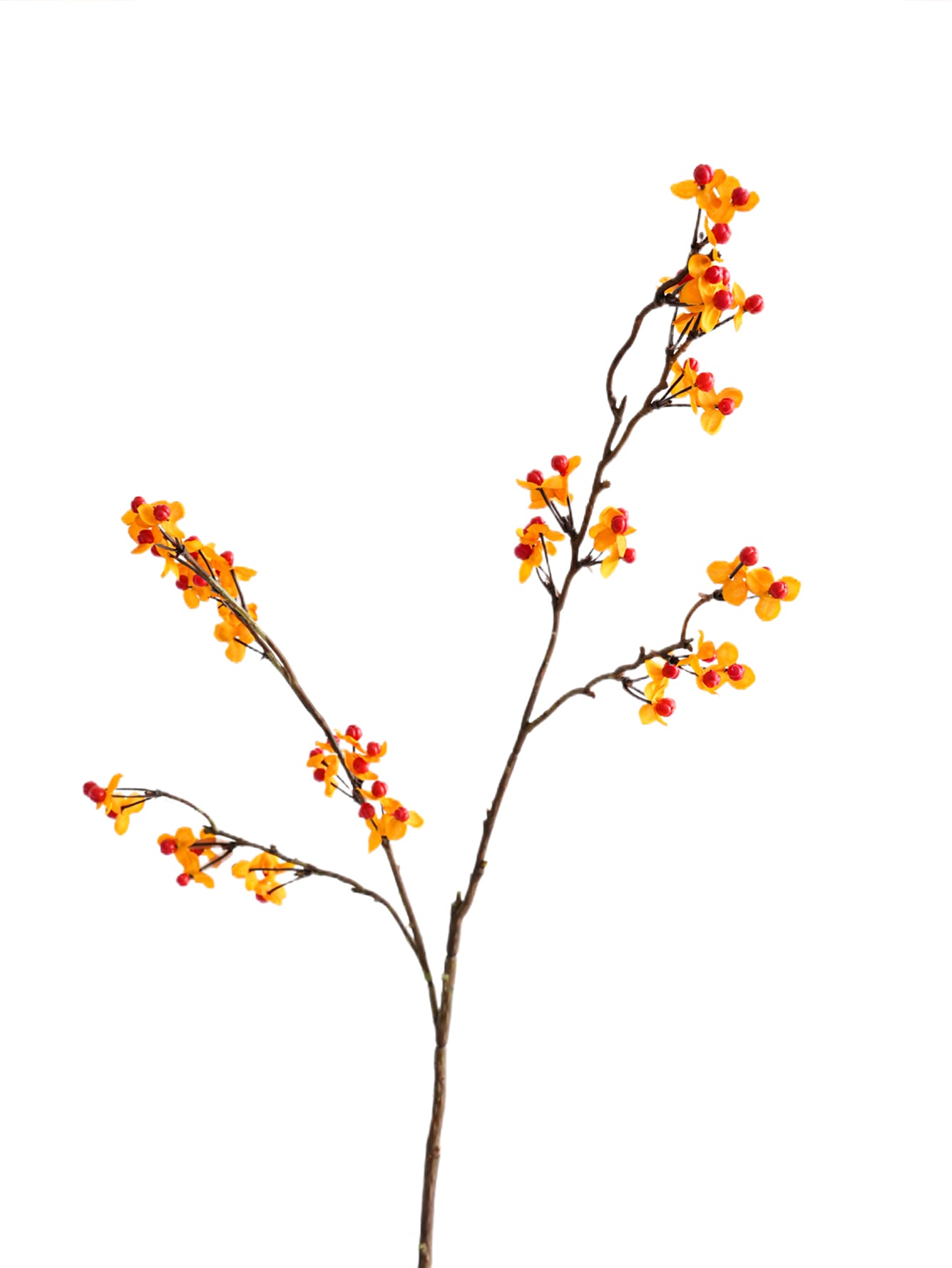 Artificial Celastrus orbiculatus with Natural Look  -24.8"