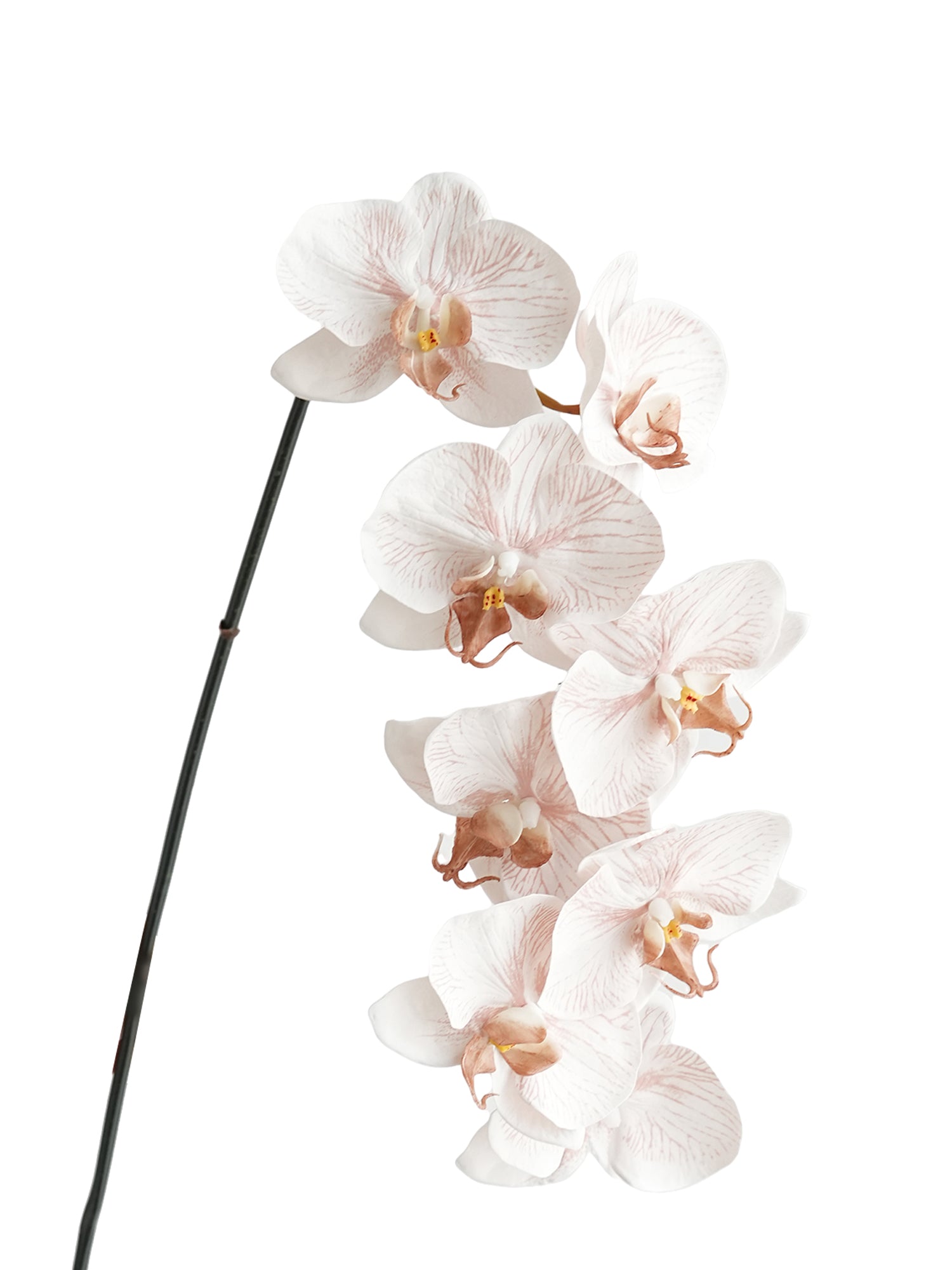 Artificial Phalaenopsis in Cream Color Palette-35"