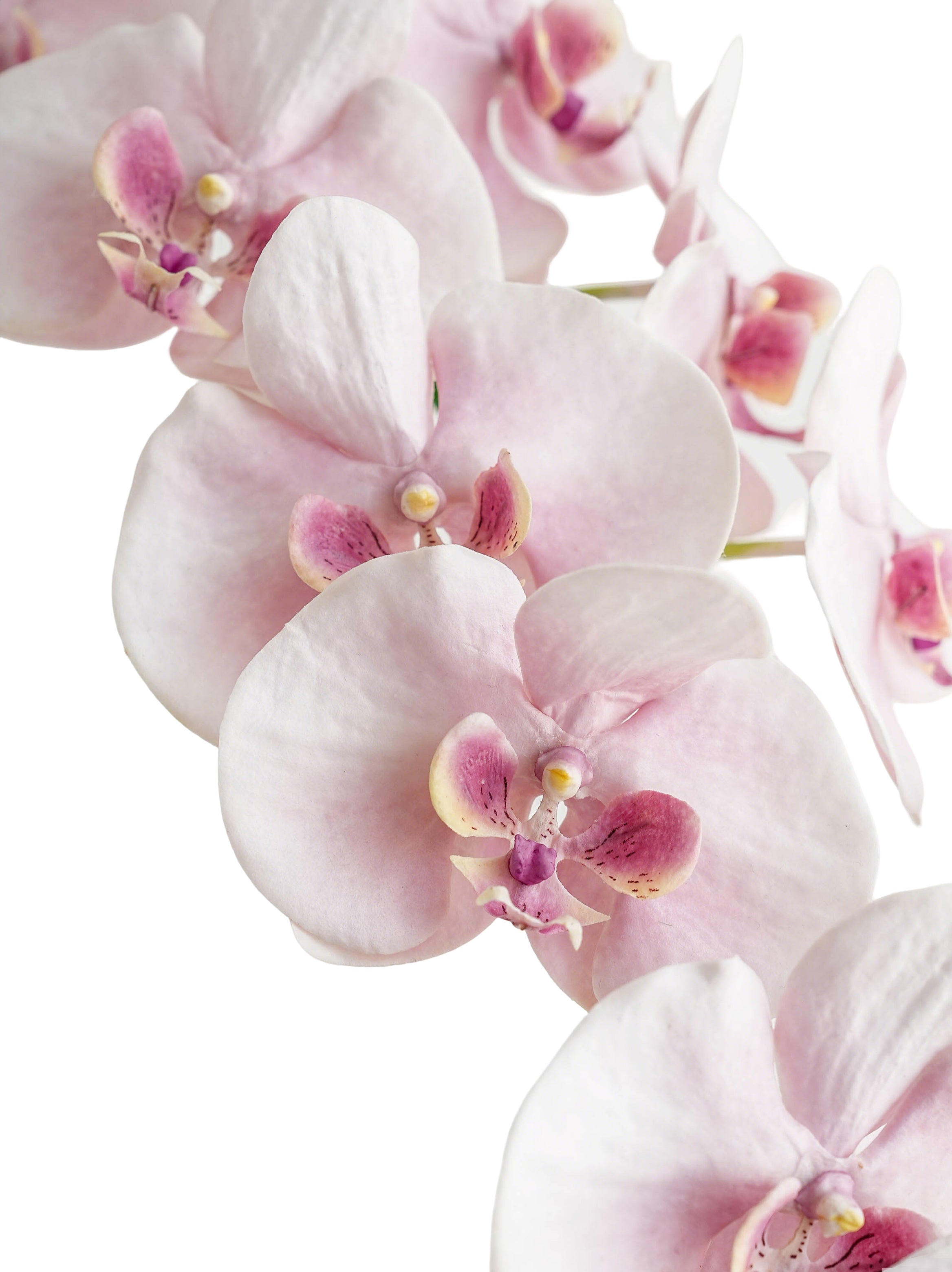 Cream Artificial Phalaenopsis Orchids -42.5"