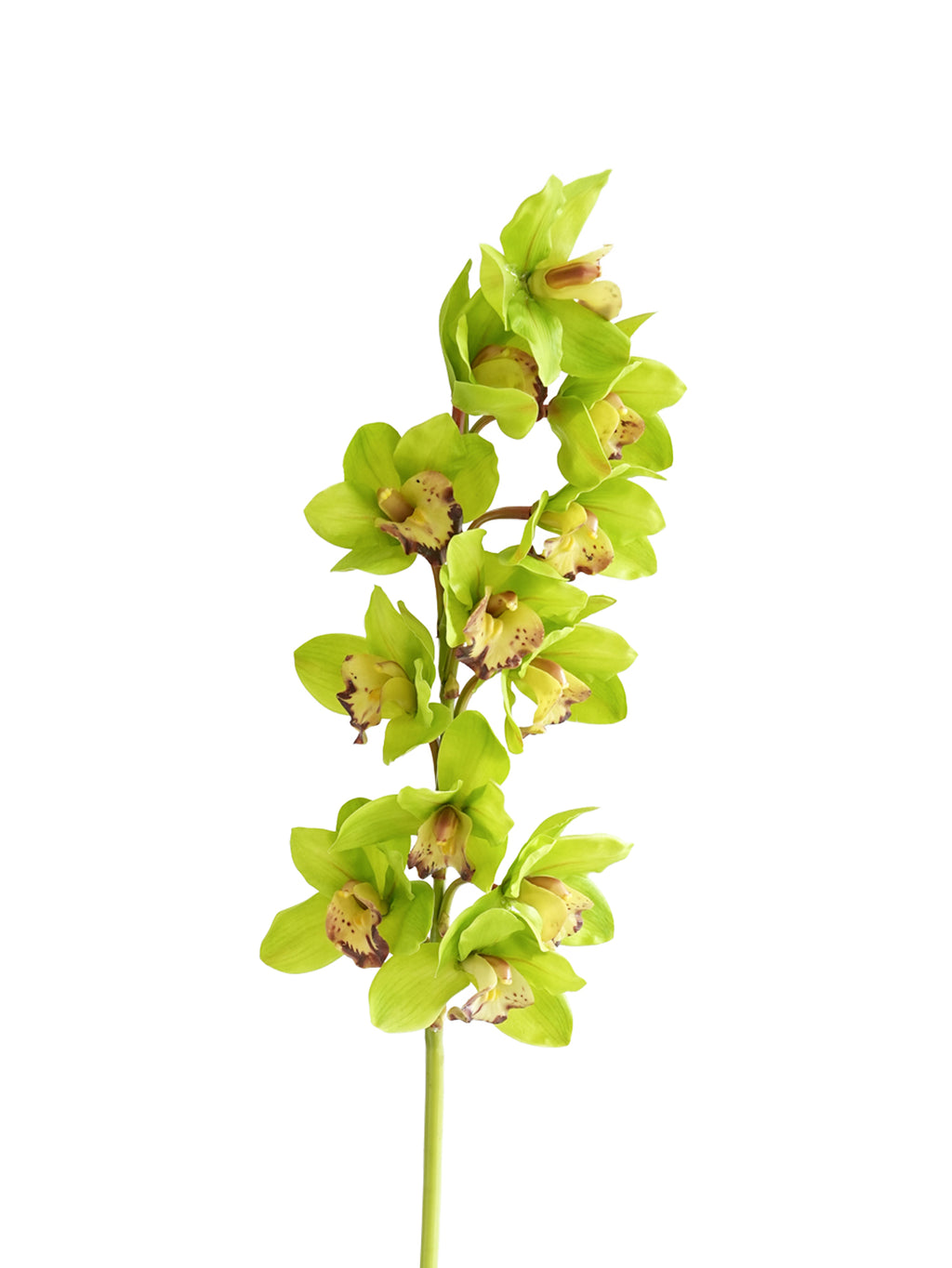 Large-sized artificial orchids with a realistic touch-37.4"