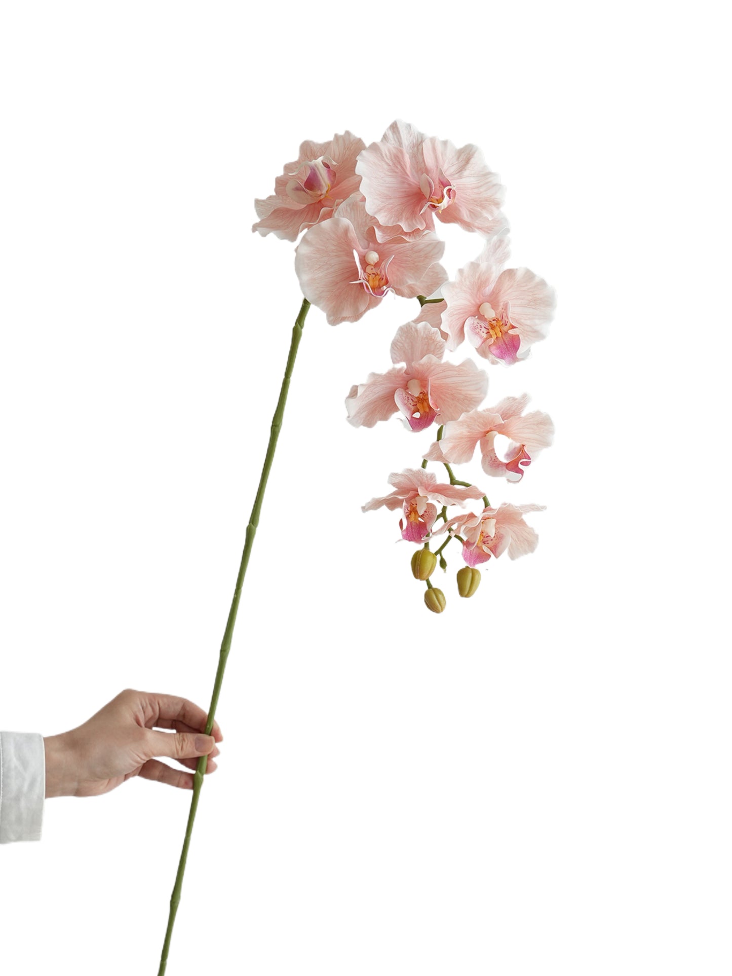 Colorful Artificial Phalaenopsis Orchids-38.5"
