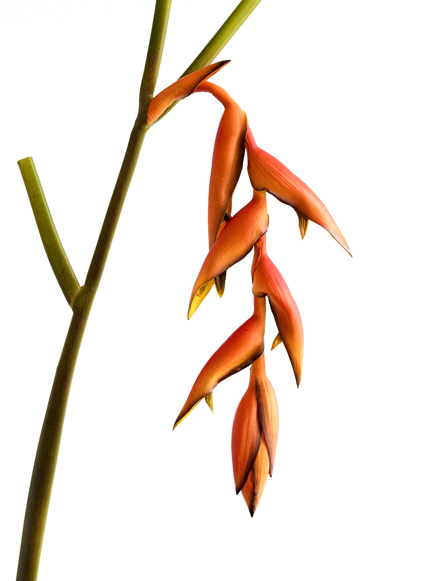 High-end Customized Artificial Hanging Birds of Paradise Flowers - 37.4"