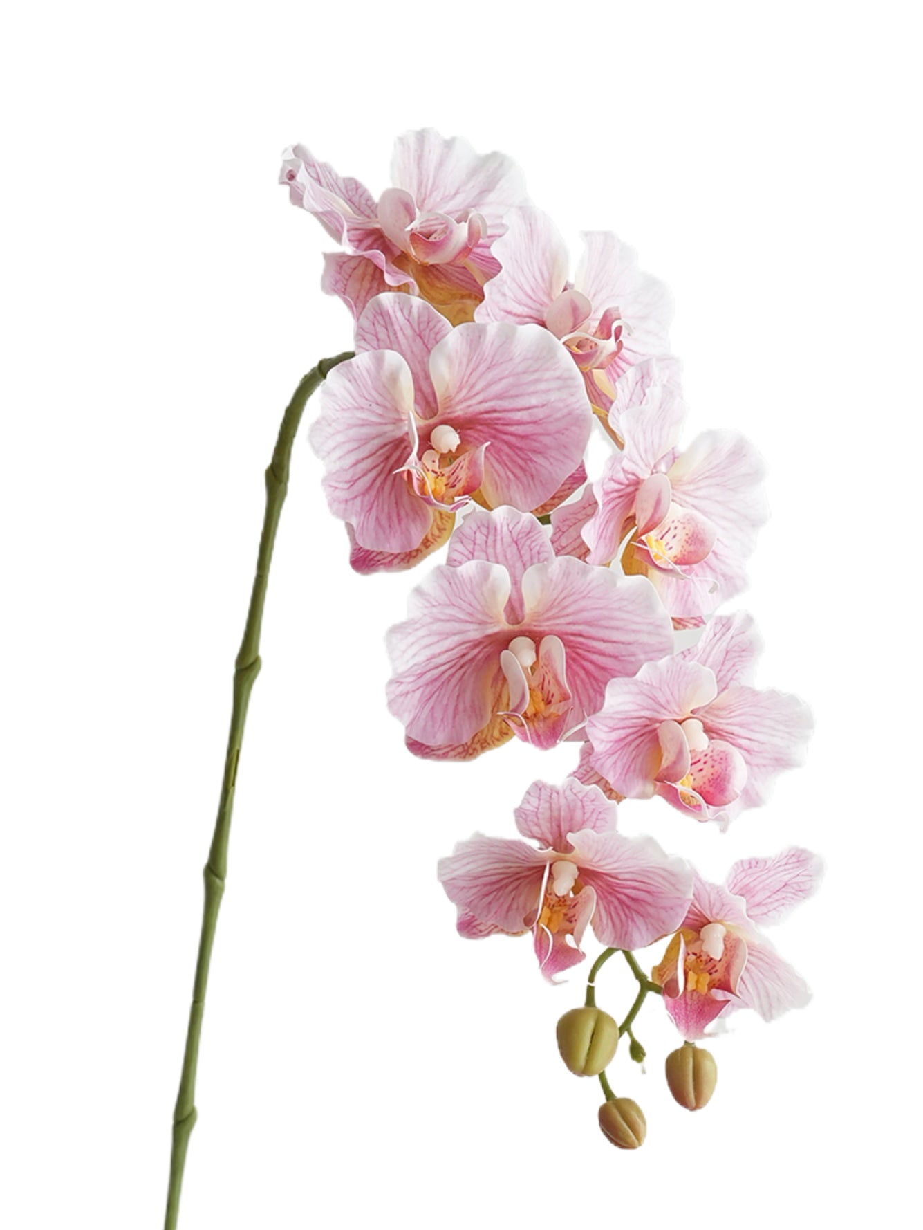 Colorful Artificial Phalaenopsis Orchids-38.5"