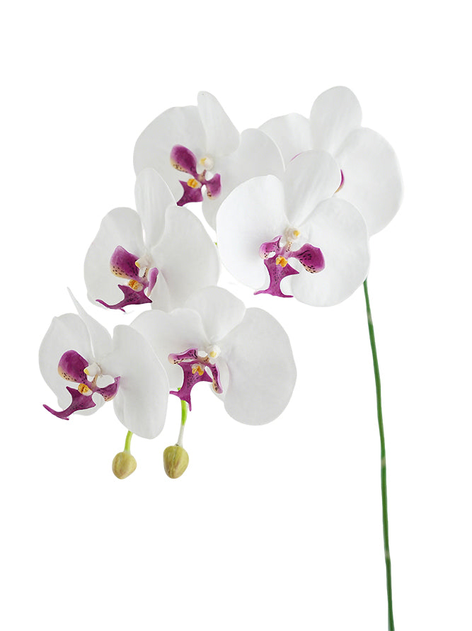 Faux Real Touch Orchids in White -41.3"