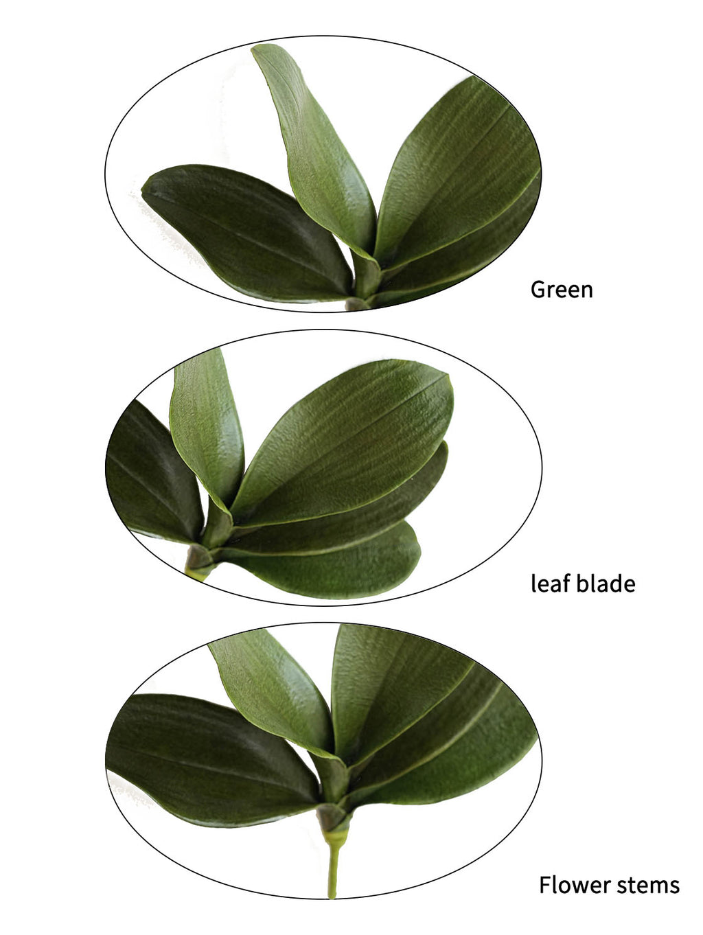 Artificial Phalaenopsis Orchid Leaf Plant-13"