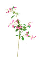 Artificial Morning Glory  -37.4"