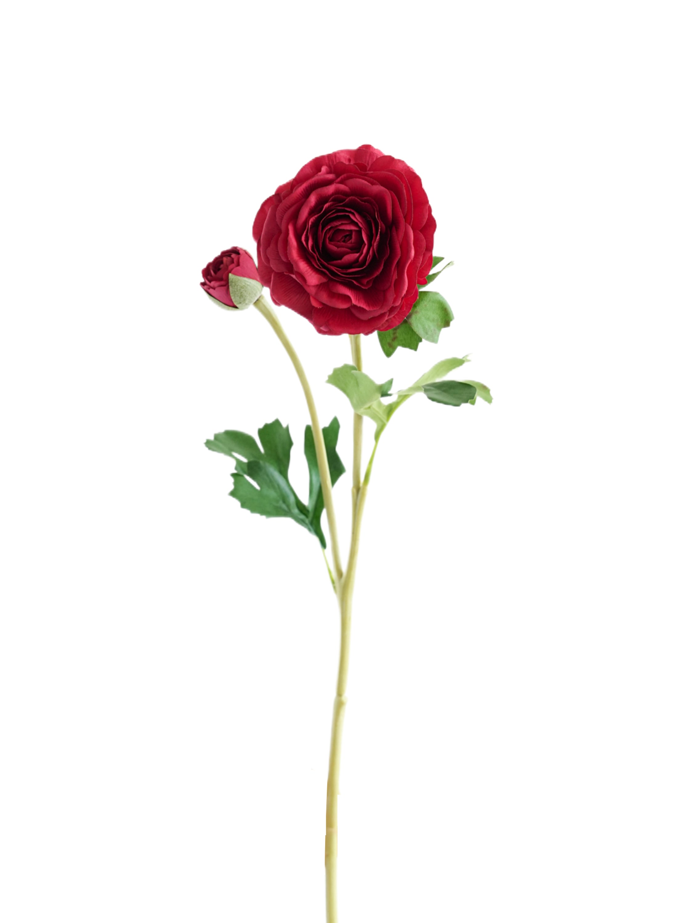 High - end Real Touch Faux Ranunculus - 21.6"