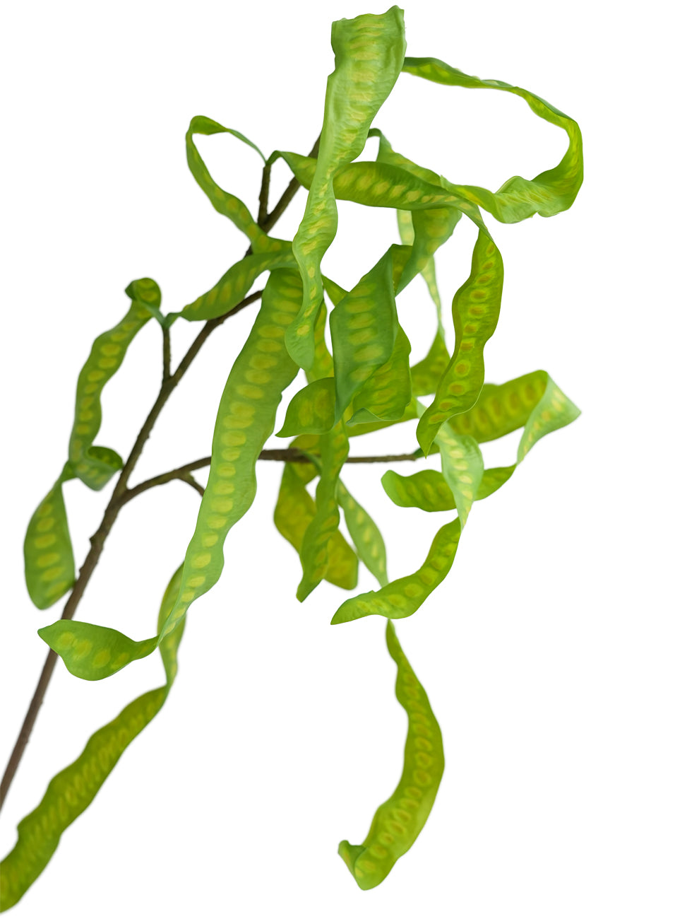 Artificial flowers of pea pods - 27.9"