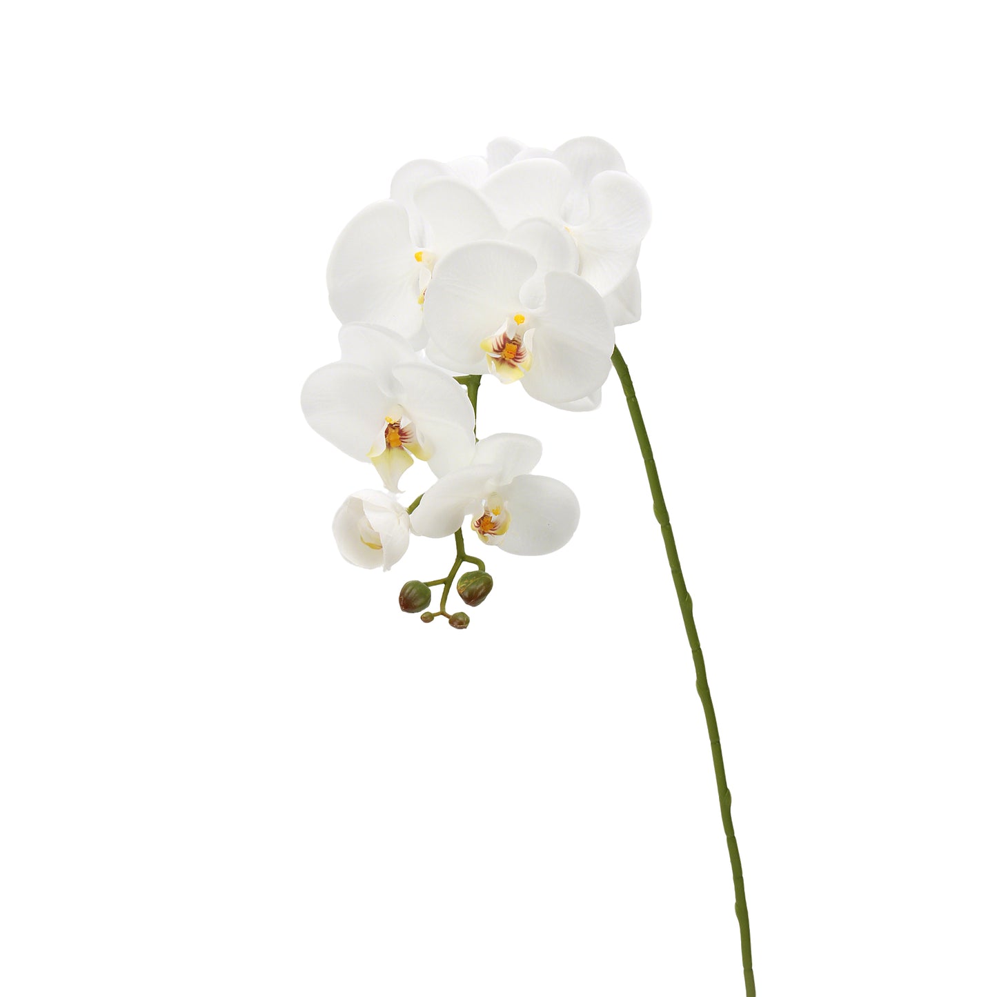 Real-Touch Faux Phalaenopsis Orchid Spray - 37.4"
