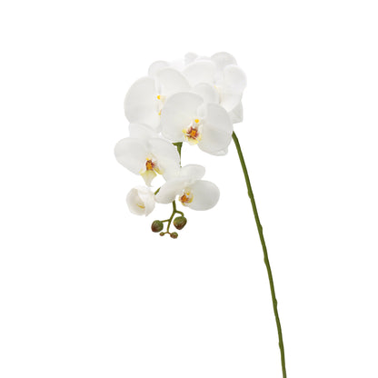Real-Touch Faux Phalaenopsis Orchid Spray - 37.4"