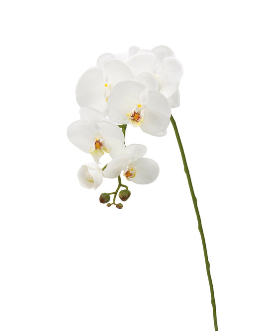Real-Touch Faux Phalaenopsis Orchid Spray - 37.4"