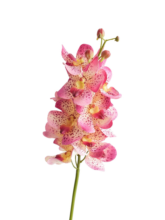 Artificial Vanda with lifelike touch -27.5"