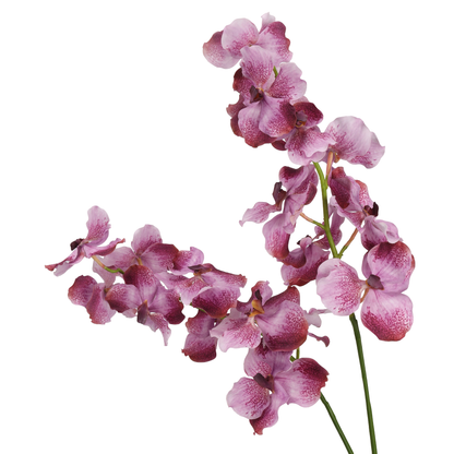 High‑Quality Real‑Touch Artificial Vanda Multi‑Blossom Stem‑33.8"