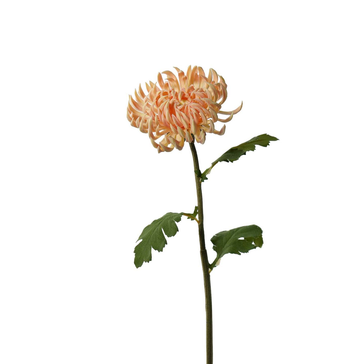 Artificial Marigold, PU Real Touch Chrysanthemum, Misty Chrysanthemum 23.6"