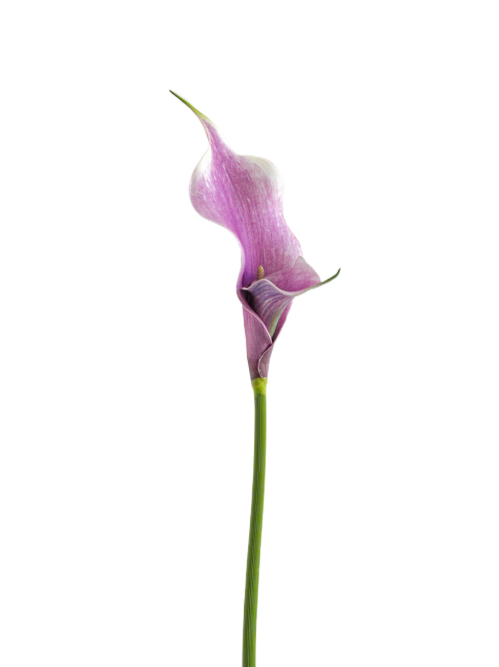 Artificial Calla Lily Flowers-23.6"