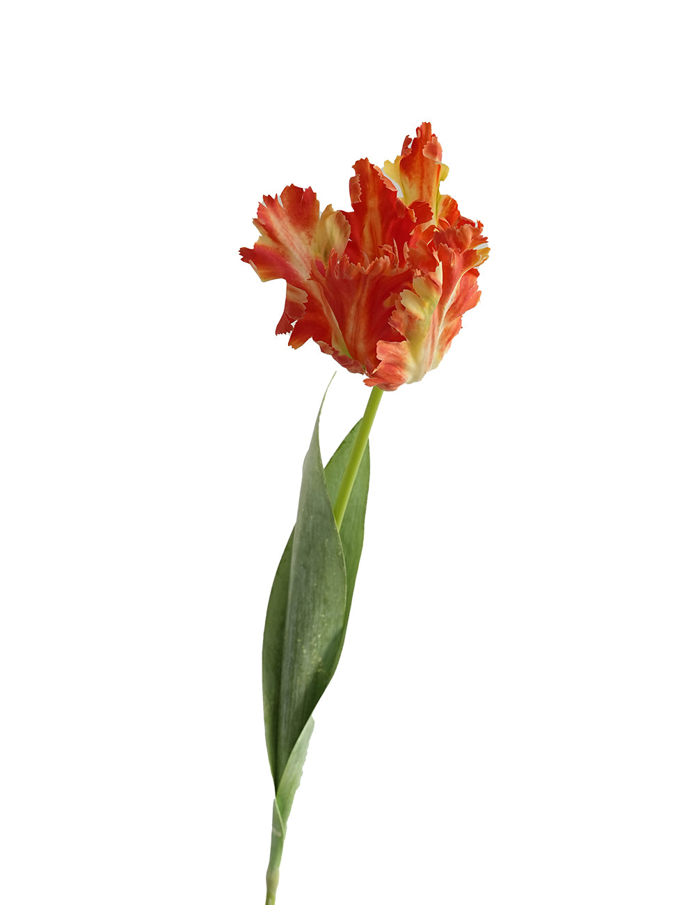 Highly customized artificial Parrot Tulip flowers-27.1"