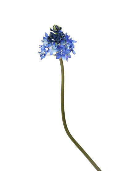 Faux Star of Bethlehem Stem - 33.5"